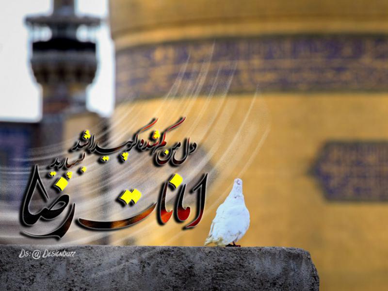 پوستر-کبوتر-حرم-امام-رضا