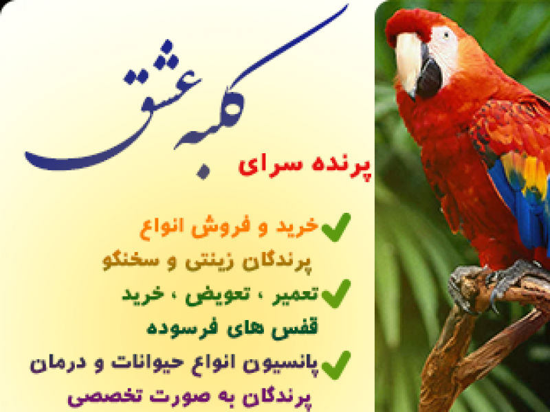 کارت-ویزیت-پرنده-فروشی