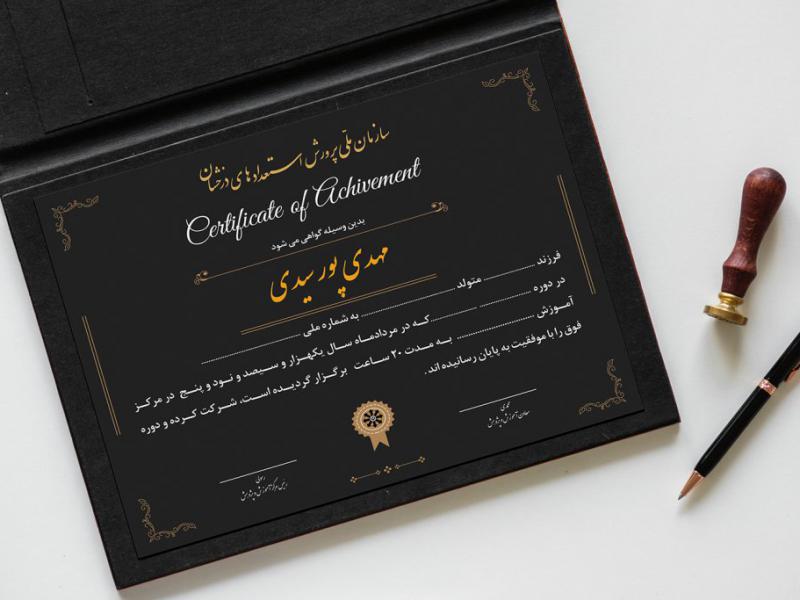 -طرح-لایه-باز-گواهینامه-آموزشی