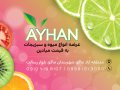 طرح-لایه-باز-کارت-ویزیت-میوه-سرا