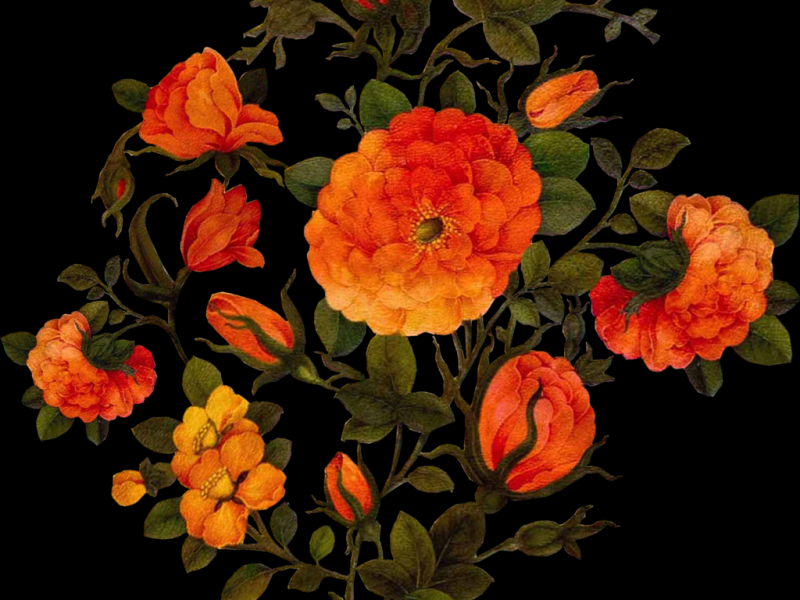 وکتور-گل