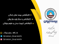 کارت-ویزیت-لایه-باز-بیمه-ایران