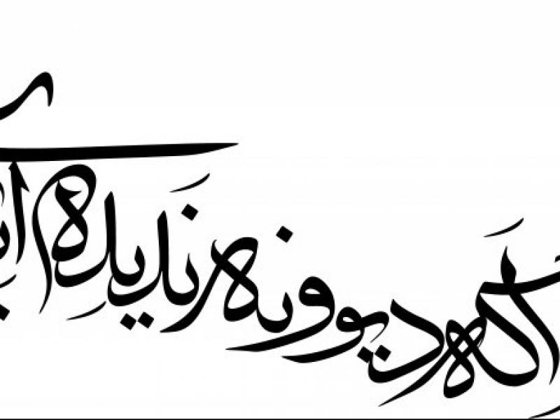 اگه-دیوونه-ندیده-ای-به-ما-میگن-دیوونه