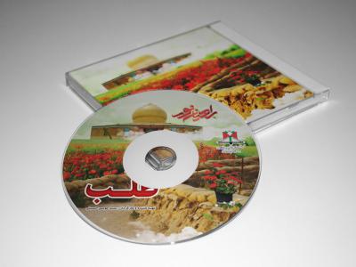  طرح لایه باز موکاپ DVD