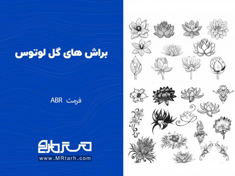 براش-های-گل-لوتوس