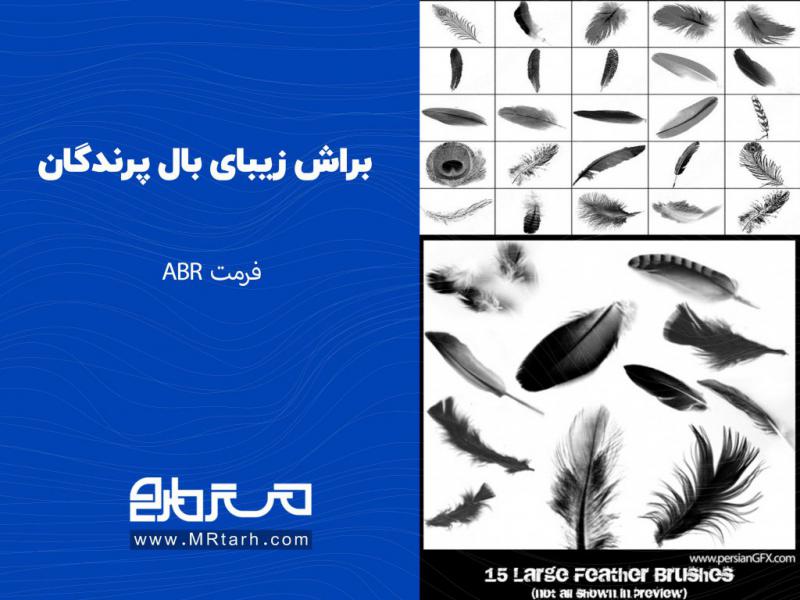 براش-زیبای-بال-پرندگان-