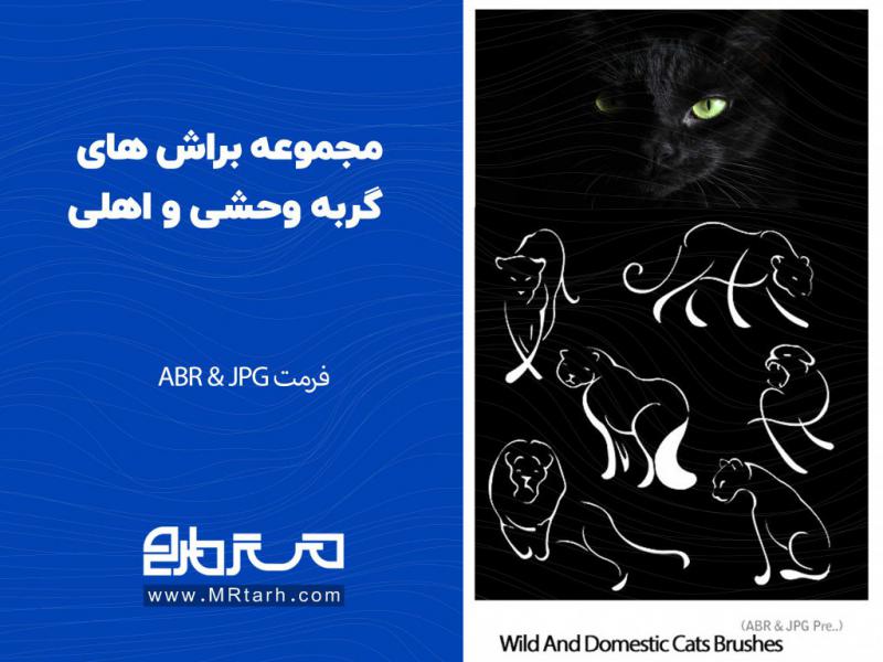 مجموعه-براش-های-گربه-وحشی-و-اهلی