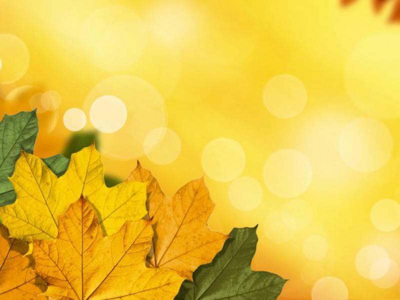 دانلود-عکس-با-کیفیت-پائیز