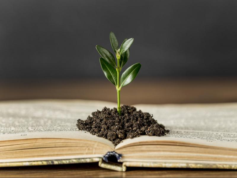 دانلود-عکس-با-کیفیت-کتاب