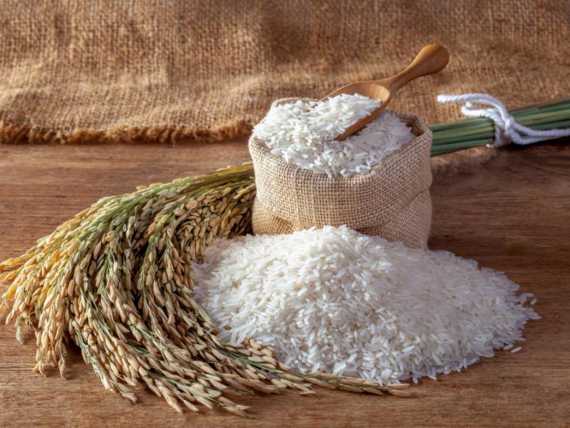 دانلود-عکس-با-کیفیت-برنج