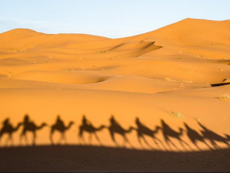 دانلود-عکس-با-کیفیت-کاروان-شتران