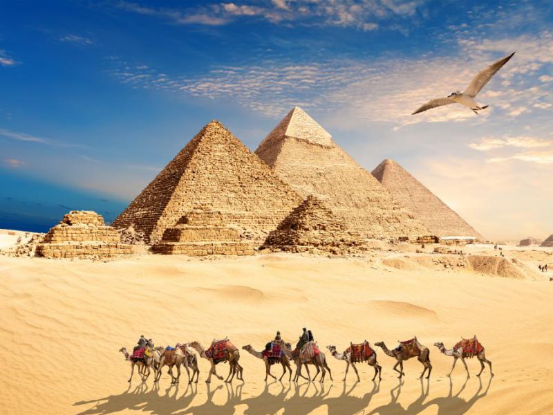 دانلود-عکس-با-کیفیت-کاروان-شتران