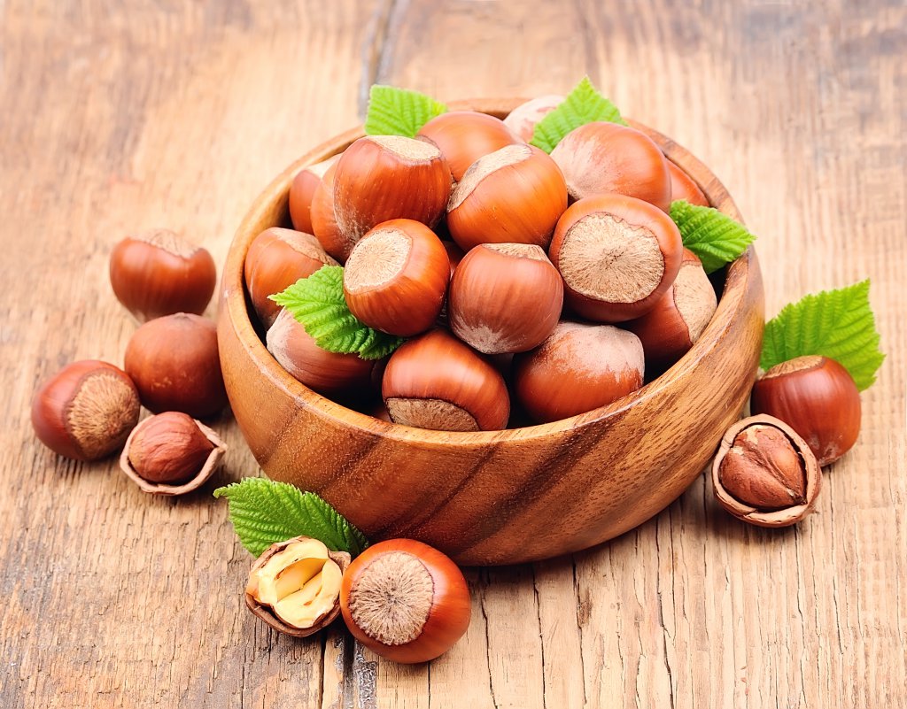دانلود عکس با کیفیت فندق