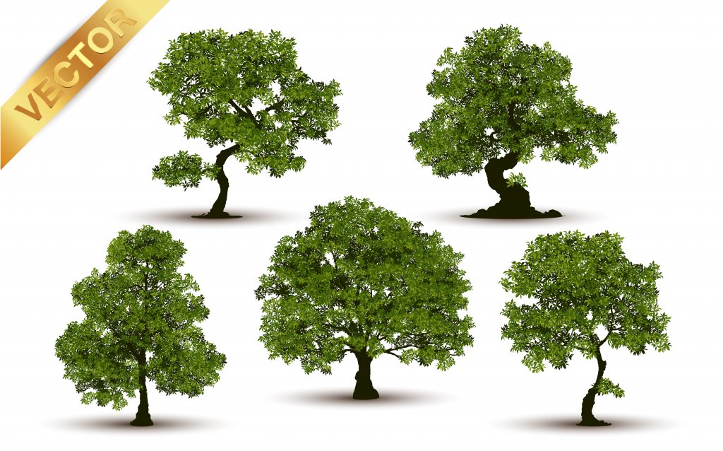 دانلود طرح لایه باز وکتور درخت