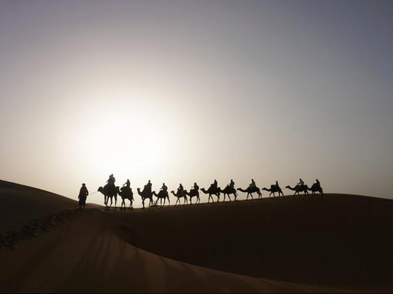 دانلود-عکس-با-کیفیت-کاروان-شترها