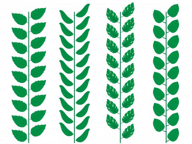 دانلود-طرح-لایه-باز-وکتور-حاشیه-زینتی