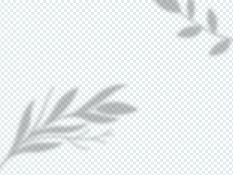 دانلود-طرح-لایه-باز-وکتور-سایه-برگ-درخت