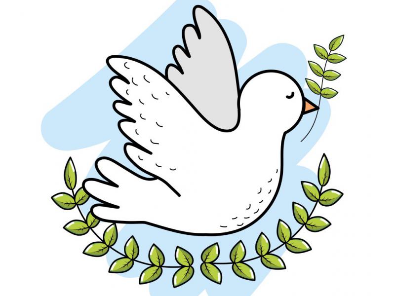 دانلود-طرح-لایه-باز-وکتور-زیبای-پرنده