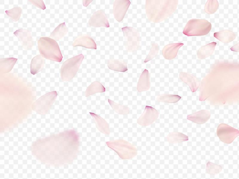 دانلود-طرح-لایه-باز-وکتور-زیبای-گلبرگ-پراکنده-طراحی