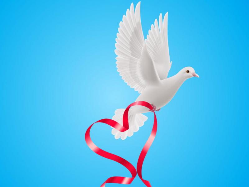 دانلود-طرح-لایه-باز-وکتور-زیبای-پرنده