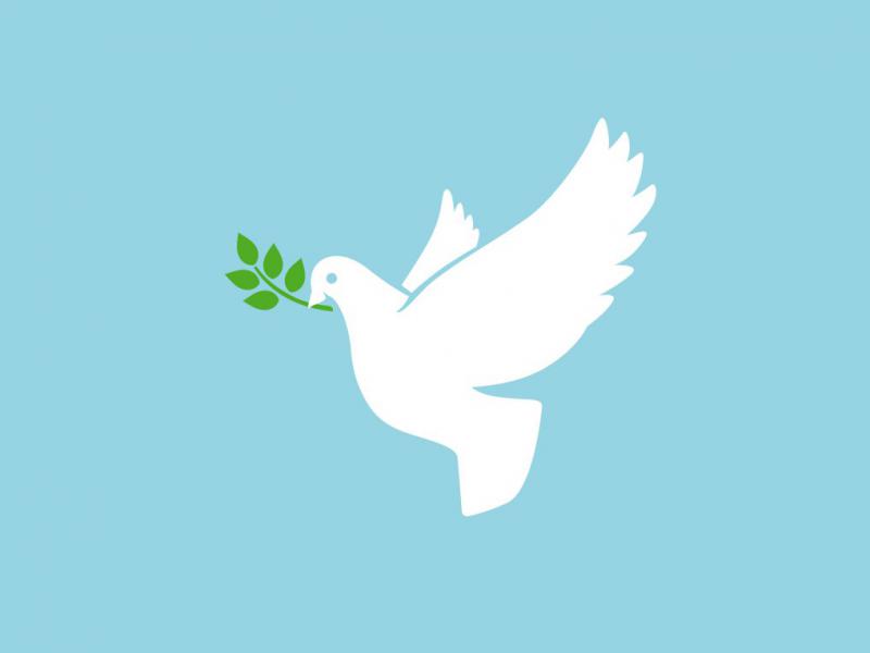 دانلود-طرح-لایه-باز-وکتور-زیبای-پرنده