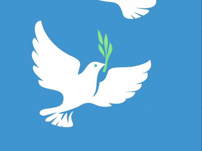 دانلود-طرح-لایه-باز-وکتور-زیبای-پرنده