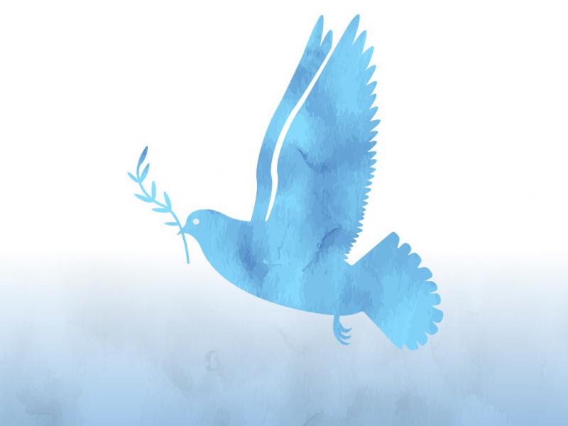 دانلود-طرح-لایه-باز-وکتور-زیبای-پرنده
