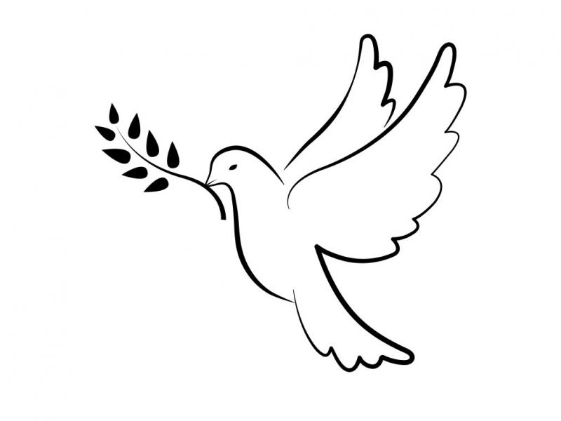 دانلود-طرح-لایه-باز-وکتور-زیبای-پرنده