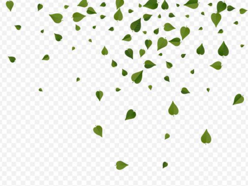 دانلود-طرح-لایه-باز-وکتور-زیبای-برگ-پراکنده-طراحی