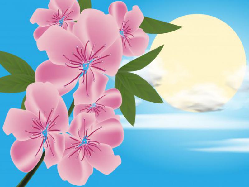 دانلود-طرح-لایه-باز-وکتور-ابر-و-ماه