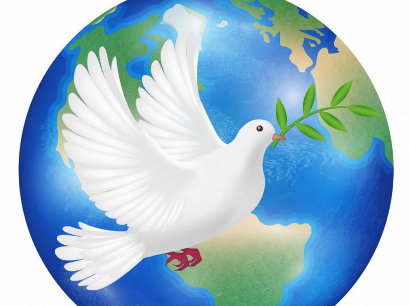 دانلود-طرح-لایه-باز-وکتور-زیبای-پرنده