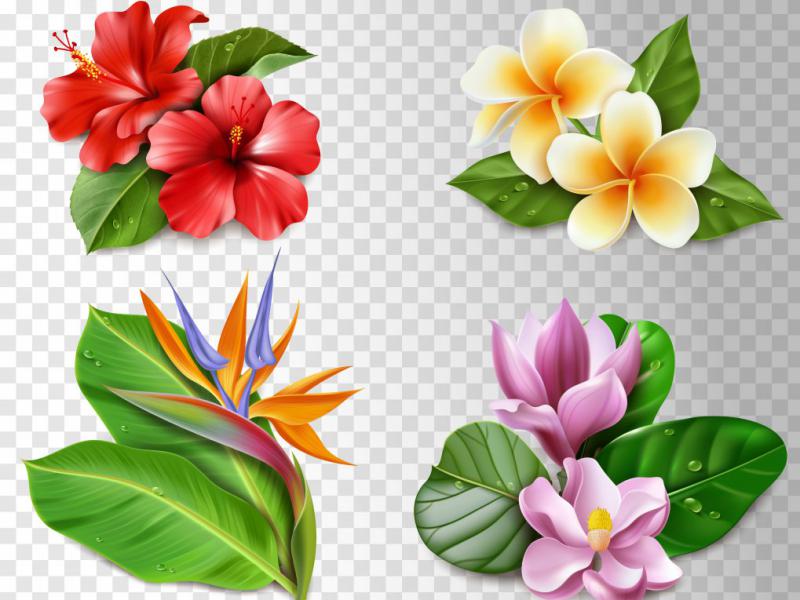 دانلود-طرح-لایه-باز-وکتور-زیبای-گل-تزئینی