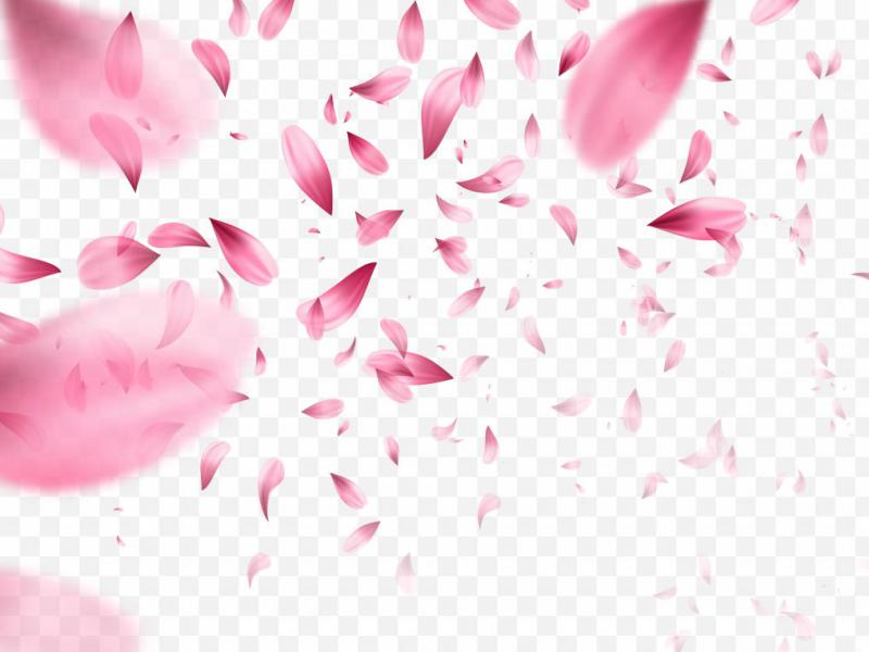 دانلود-طرح-لایه-باز-وکتور-زیبای-گلبرگ-پراکنده-طراحی
