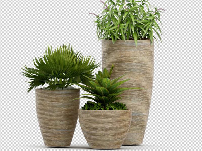 دانلود-طرح-لایه-باز-فوق-العاده-زیبای-گیاه-مناسب-طراحی-تبلیغاتی