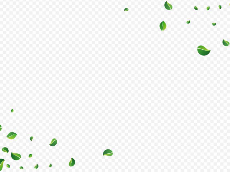 دانلود-طرح-لایه-باز-وکتور-زیبای-برگ-پراکنده-طراحی