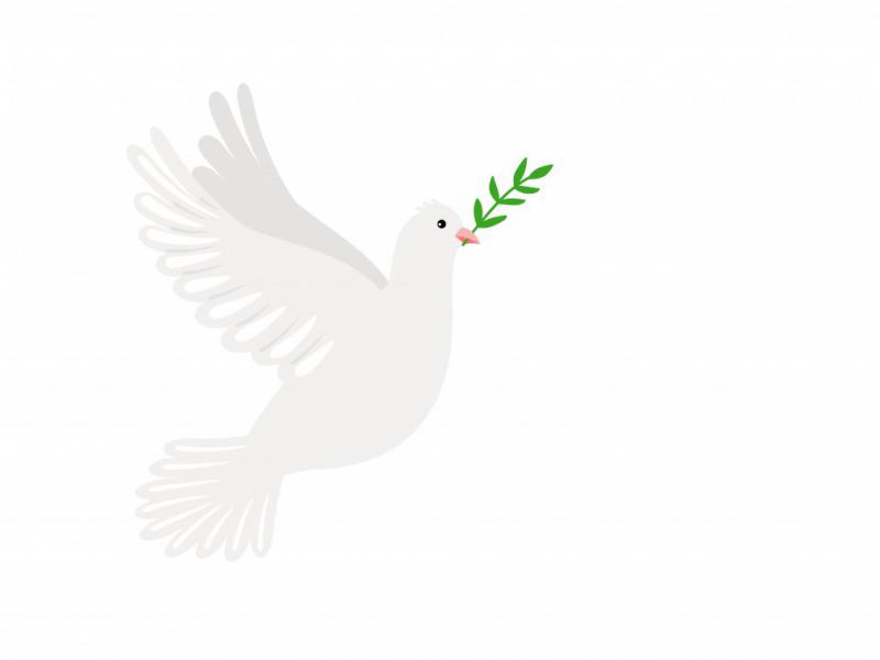دانلود-طرح-لایه-باز-وکتور-زیبای-پرنده