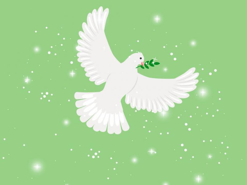 دانلود-طرح-لایه-باز-وکتور-زیبای-پرنده