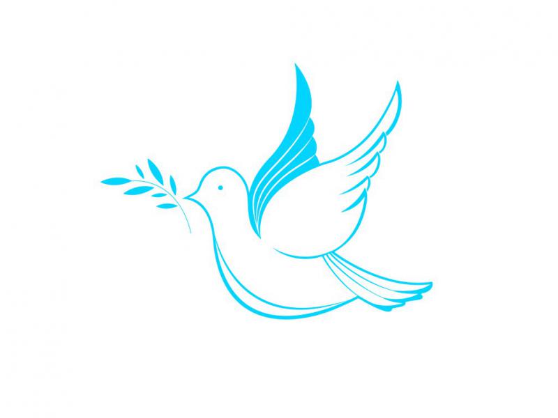 دانلود-طرح-لایه-باز-وکتور-زیبای-پرنده