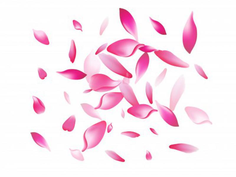 دانلود-طرح-لایه-باز-وکتور-زیبای-گلبرگ-پراکنده-طراحی