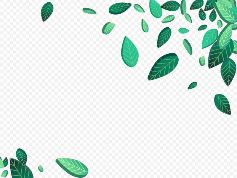 دانلود-طرح-لایه-باز-وکتور-زیبای-برگ-پراکنده-طراحی