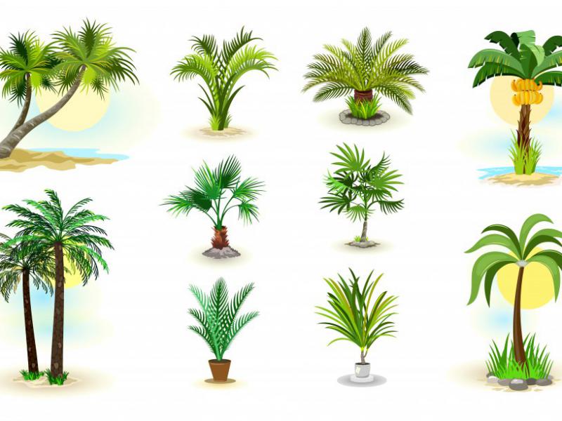 دانلود-لایه-باز-آیکن-درخت