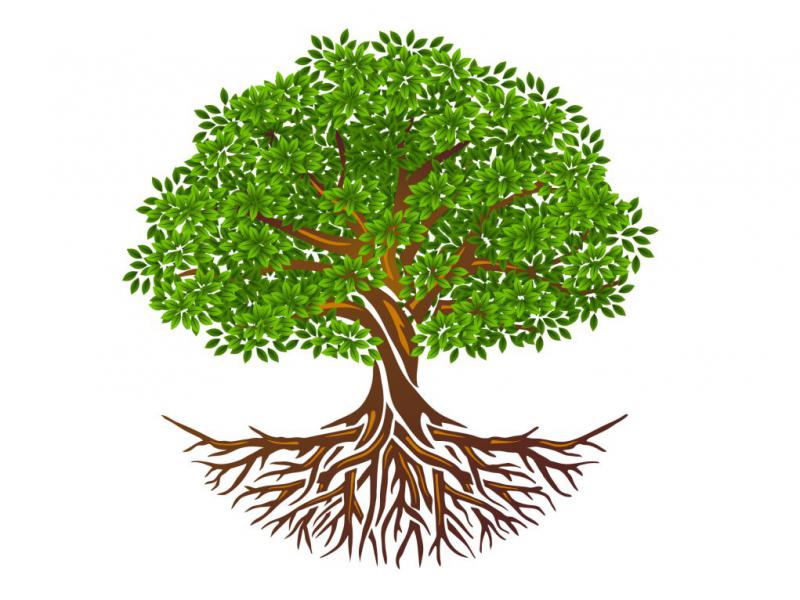 دانلود-لایه-باز-آیکن-درخت