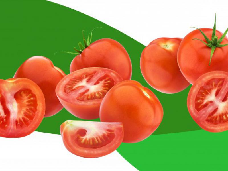 دانلود-طرح-لایه-باز-گوجه-فرنگی
