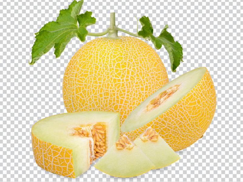دانلود-طرح-لایه-باز-طالبی