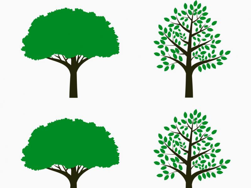 دانلود-لایه-باز-آیکن-درخت