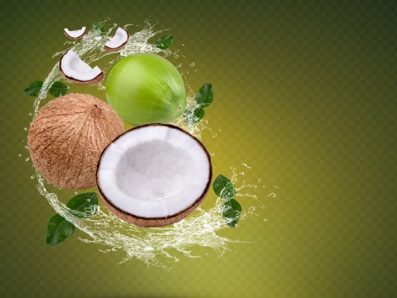 دانلود-طرح-لایه-باز-نارگیل