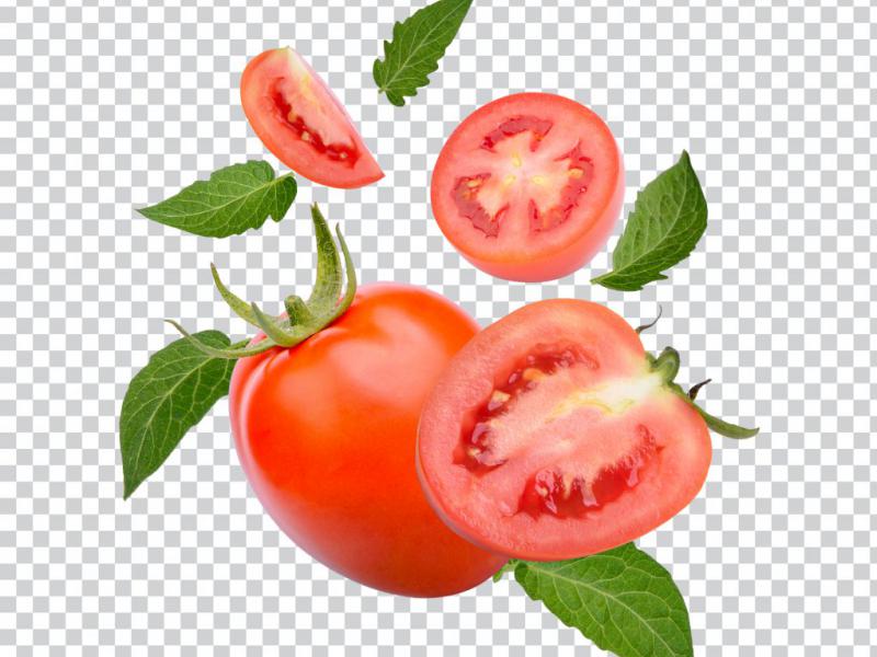 دانلود-طرح-لایه-باز-گوجه-فرنگی