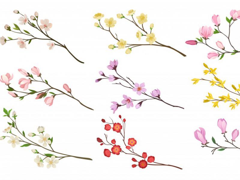دانلود-لایه-باز-آیکن-شکوفه-بهاری