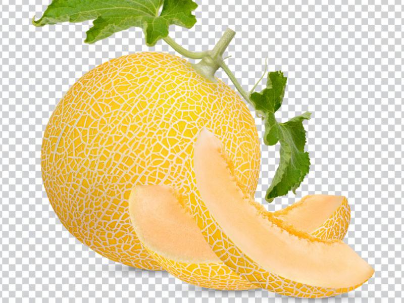 دانلود-طرح-لایه-باز-طالبی
