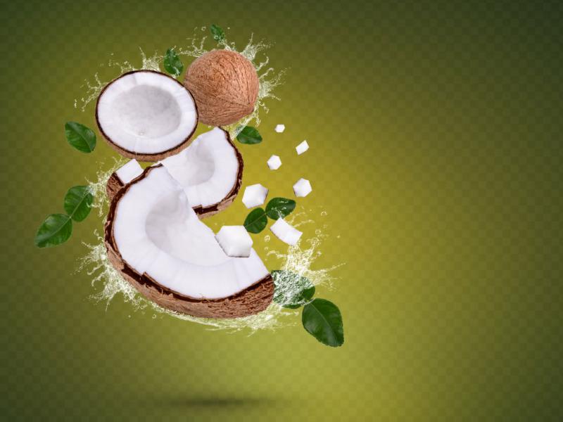 دانلود-طرح-لایه-باز-نارگیل